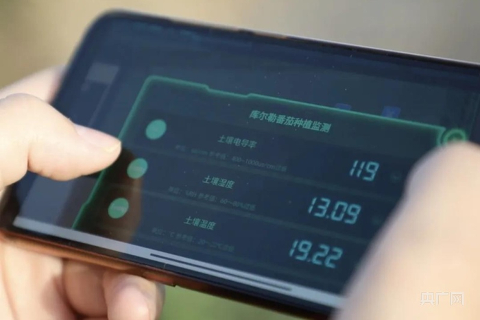种植户从“小铁牛”数字农业乡村振兴服务平台查看农作物生长情况。央广网发