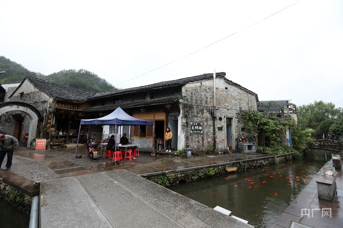 后岸村溪水里锦鲤游动（央广网记者 魏炜摄）