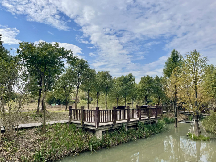 亲水平台方便游客近距离观看河道