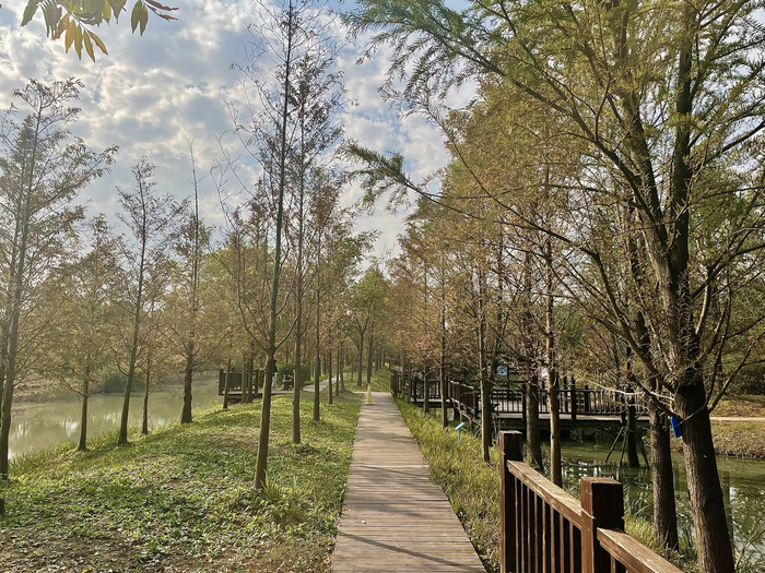 沿着河岸的木栈道