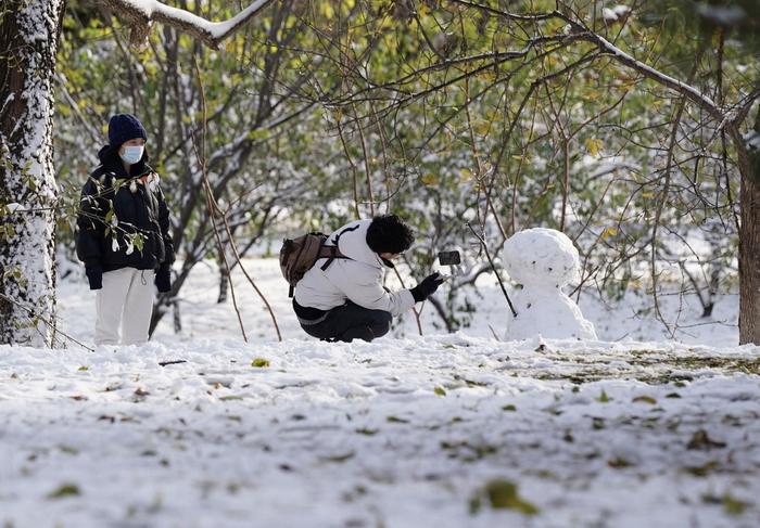 小雪至冬始俏萬物冬藏