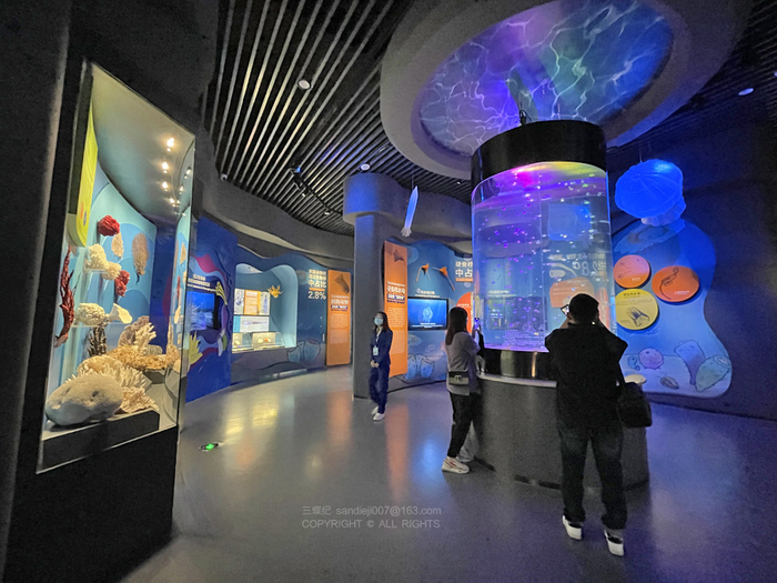 展厅里活体海洋动物与化石的对照