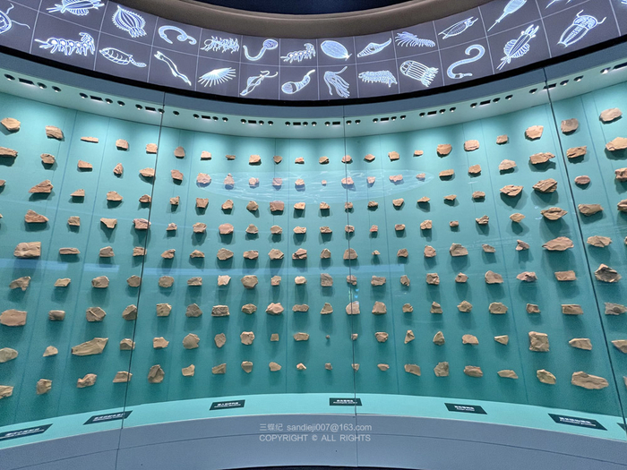 澄江化石库展厅