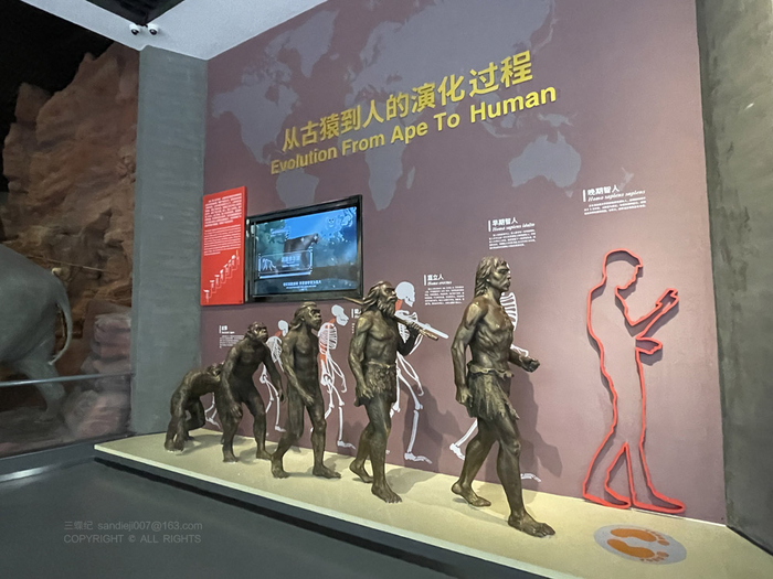 从古猿到人的进化