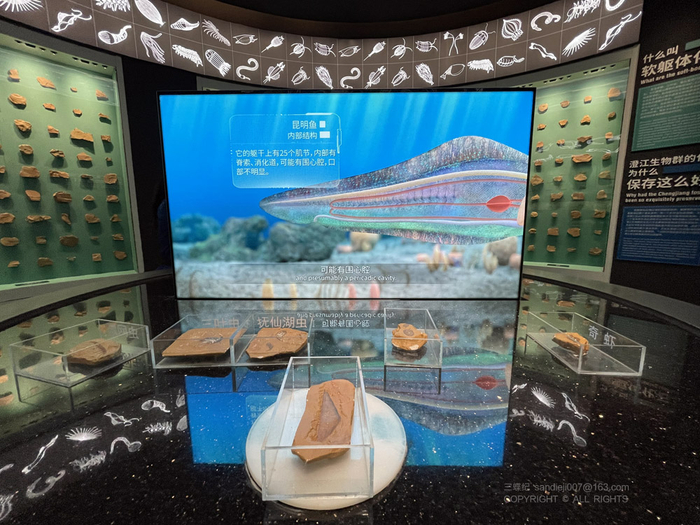  澄江化石库展厅的互动装置