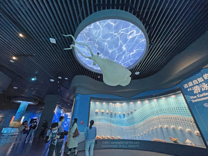 奇虾与现生软体动物