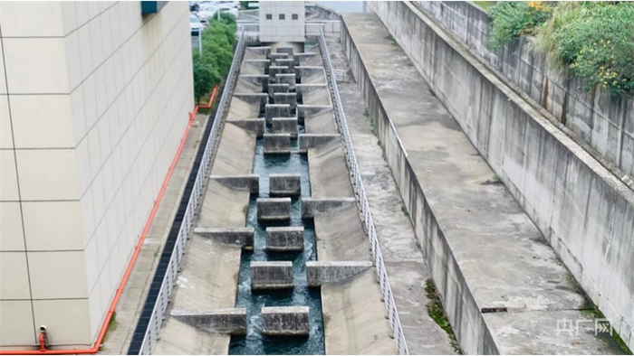 峡江水利枢纽工程鱼道缝式设计（央广网发 肖江峰摄）