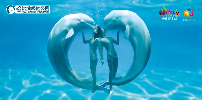 哈尔滨极地公园。黑龙江省文化和旅游厅 供图