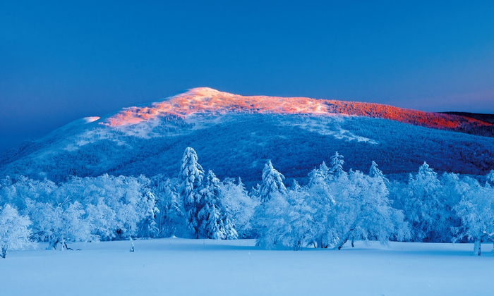 哈尔滨凤凰山雪谷。黑龙江省文化和旅游厅 供图