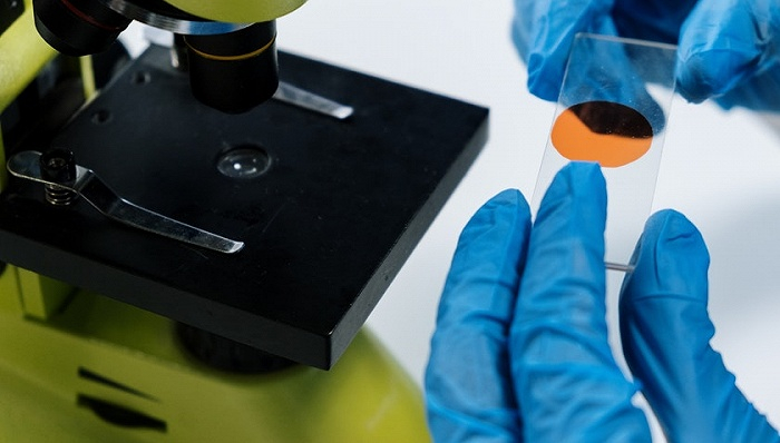 图片来源：pexels-cottonbro