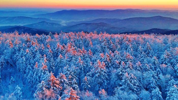 伊春大箐山冰雪森林。黑龙江省文化和旅游厅 供图