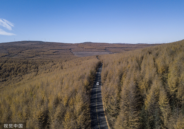 （不同时节的草原天路，视觉中国供图，央广网发）