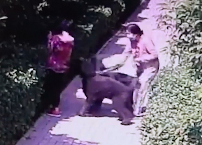 小区监控画面。视频截图