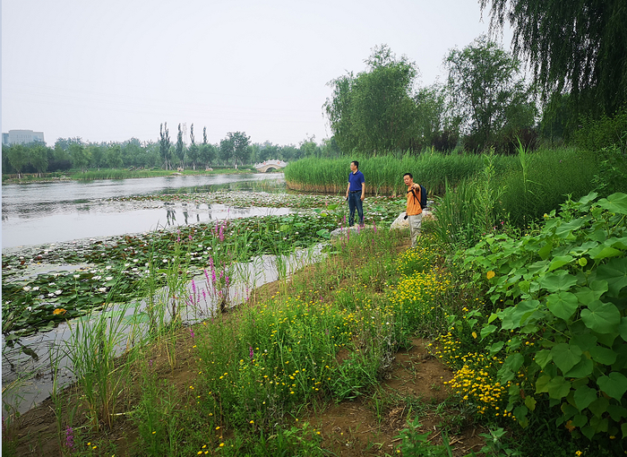 通讯员 崔多英 孔繁成 刘佳摄