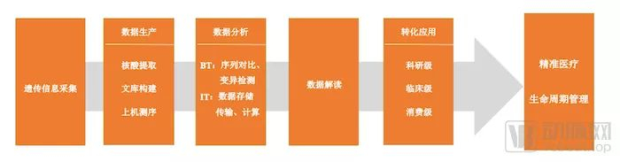 基因检测行业价值链