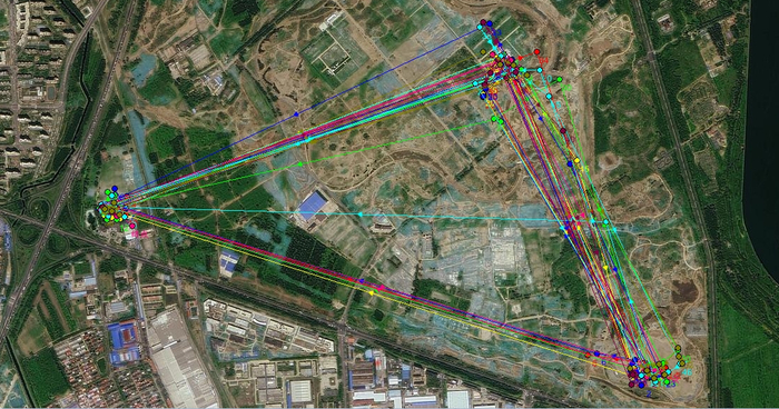 鸳鸯从绿心公园转移到大运河森林公园了。