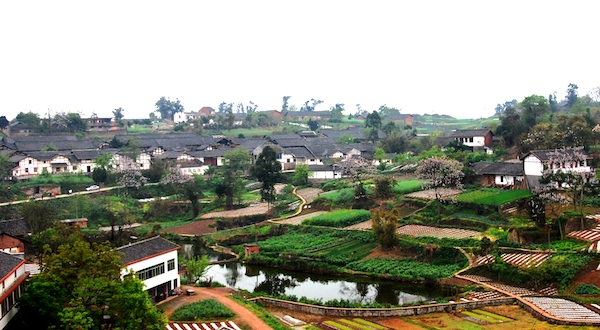 三多寨全景 本文图均为 马恒健  摄