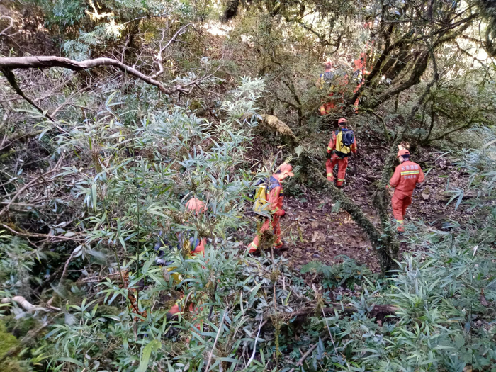 救援人员在哀牢山中艰难行进&nbsp; 本文图均为&nbsp;受访者供图&nbsp;