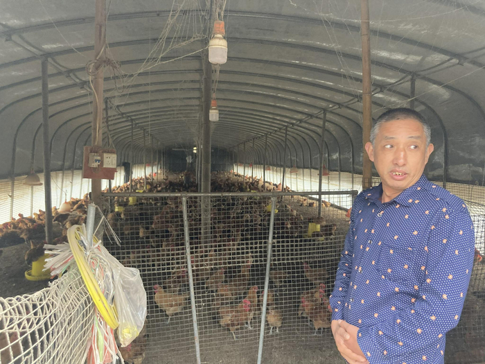  村民讲述野猪闯进鸡棚