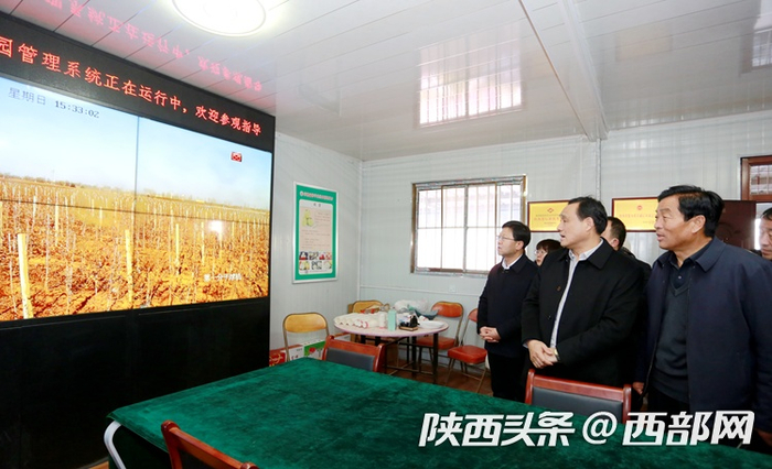 通过智慧果园管理系统可以清晰了解果园实时状况。