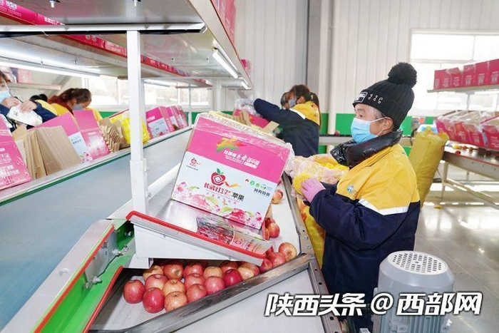 咸阳天丰农业科技有限公司京东云仓西北农产品物流开发中心工作人员正在包装苹果。