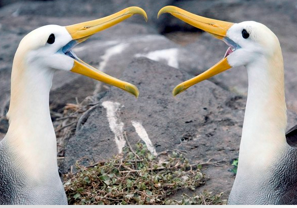 图片来源：资料图