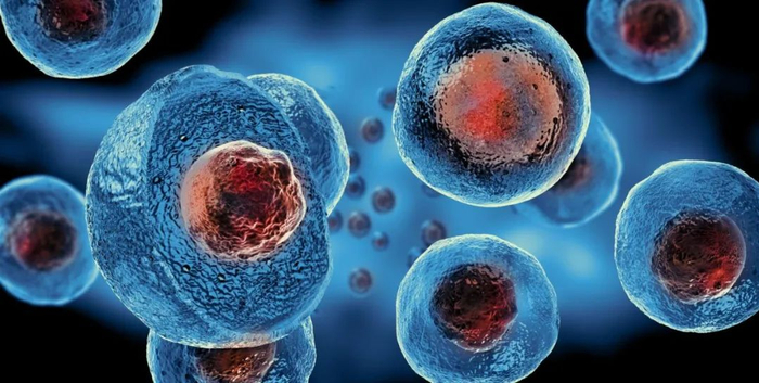巨型病毒与宿主细胞之间发生DNA的交换。（图片来源：Tokyo University of Science）