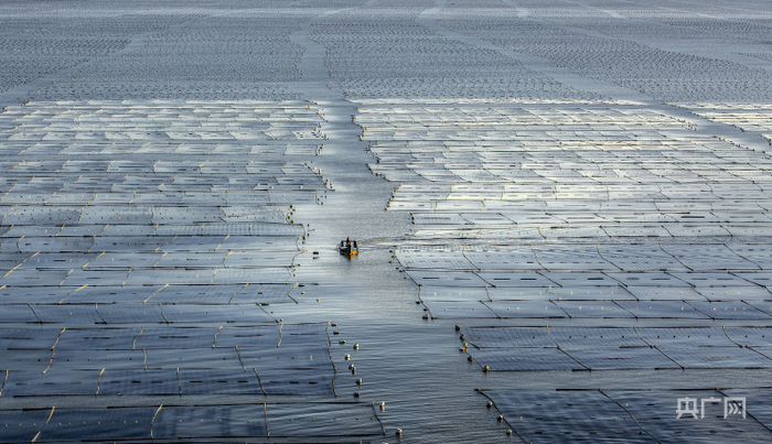 海上牧场巍巍壮观（央广网发 程庆雄摄）
