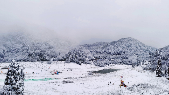 金佛山皑皑白雪（央广网发 张志摄）