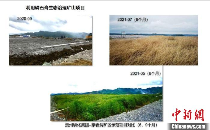 贵州磷化集团--穿岩洞矿区利用磷石膏生态治理矿山对比图。　受访者供图