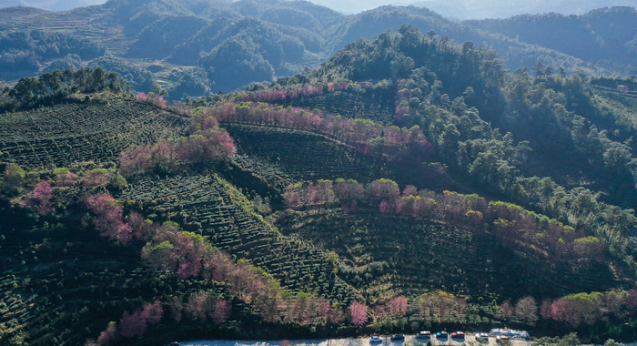 兴义市乌沙镇资料图（央广网发 视觉中国供图）