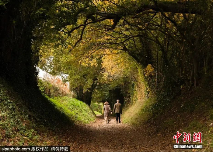 图片来源：Siaphoto