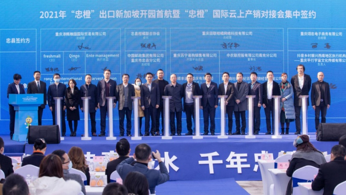 签约现场（央广网发 忠县商务委供图）
