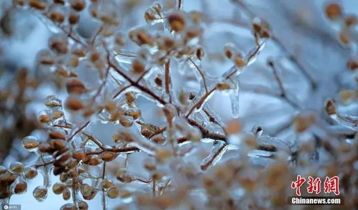 图片来源：ICPHOTO