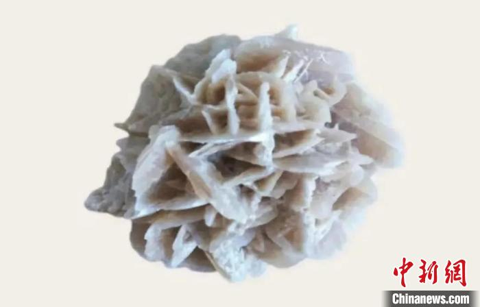 广东校友们捐赠的突尼斯“沙漠玫瑰石” 标本。　成都理工大学供图