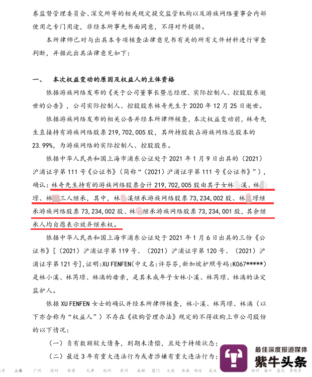 子女继承相关股份事宜的法律意见书