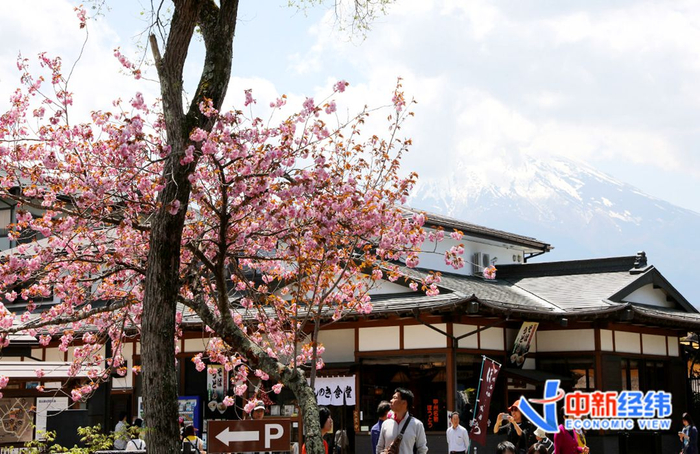 资料图 中新经纬 张燕征 摄