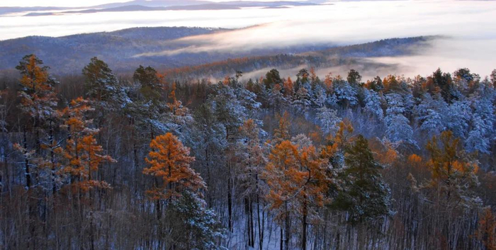 秋林霜降 常威 摄