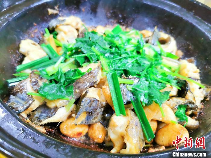 生焗石角鳝 李晓春 摄