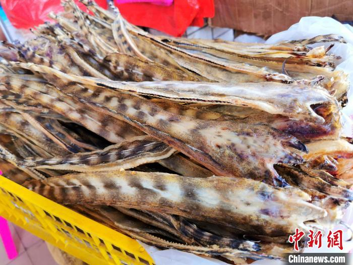 开边晒制的石角鳝干 李晓春 摄