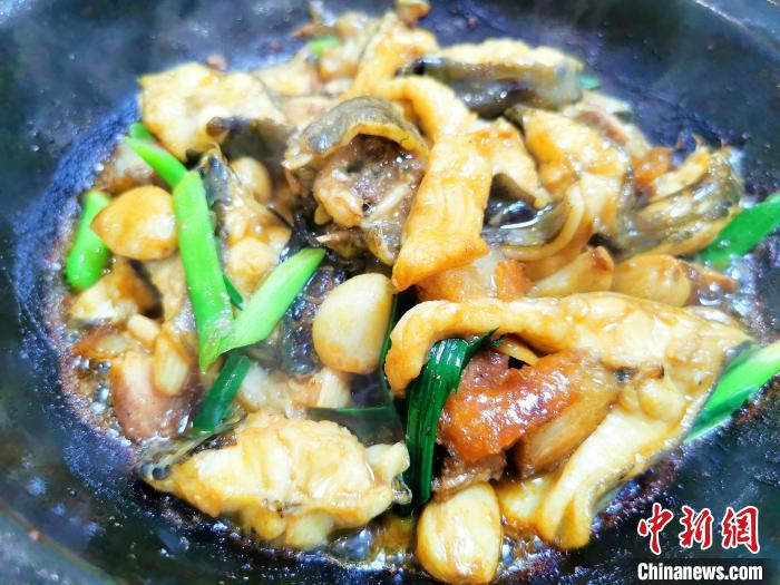 烧猪肉焖石角鳝 李晓春 摄