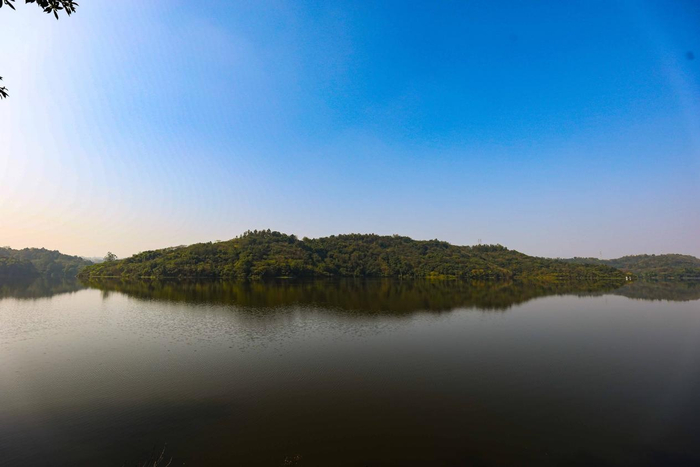 迎龙湖国家湿地公园 （央广网发 郭志如摄）