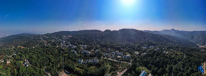 南山风貌 （央广网发 郭志如摄）