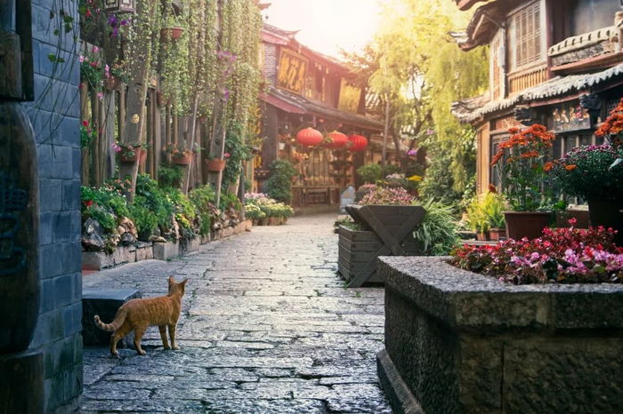 丽江古城（资料图）丽江市委宣传部供图