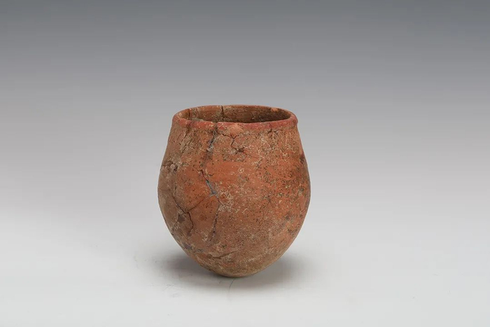 仙居下汤遗址圜底罐