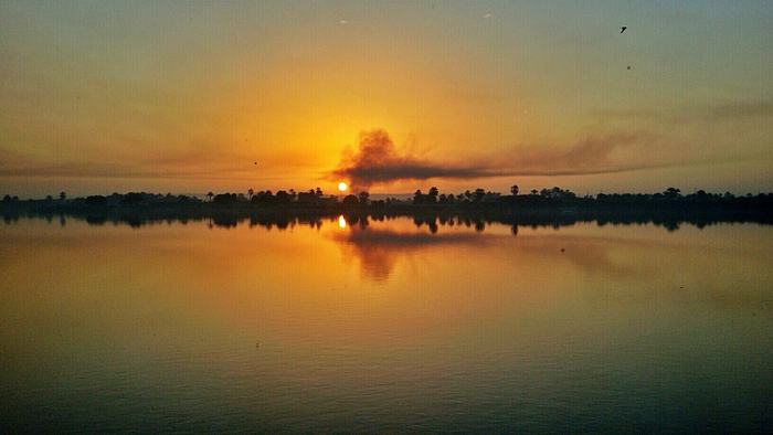 尼罗河澎湃新闻记者 喻晓璇 图