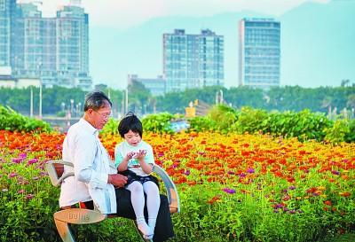 老年人带娃图景。&nbsp;光明图片