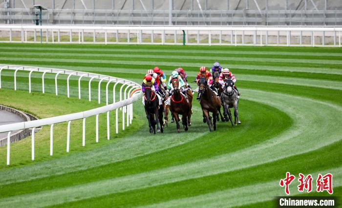 从化马场 邬影红 摄