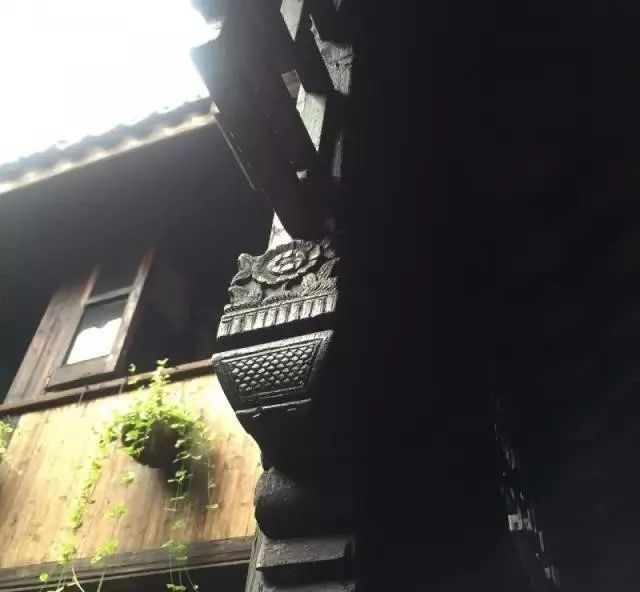 牡丹花寓意“大富大贵”