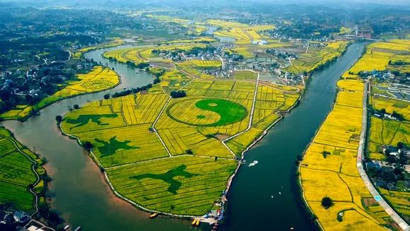 潼南崇龛油菜花海 图：潼南微发布